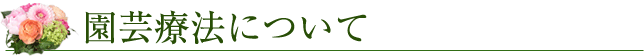園芸療法について